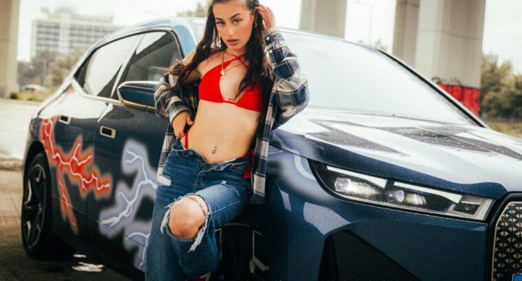 BMW iX  The Future of Electric Luxury and Perform